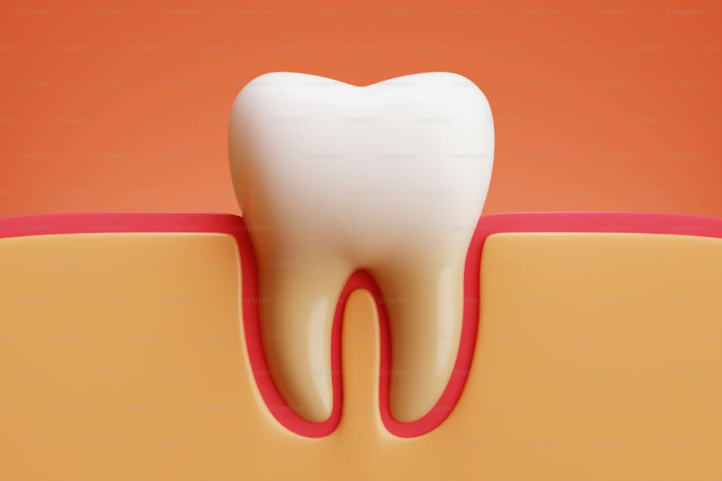 Dent dévitalisée : combien de temps sans couronne ?