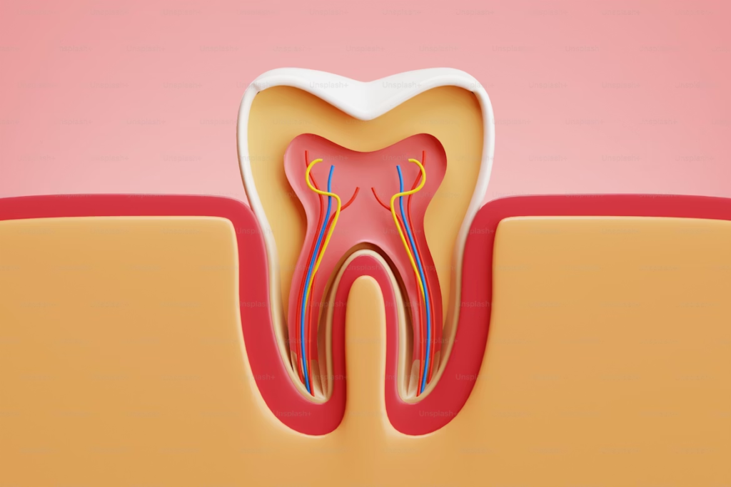 Dents de sagesse : douleur insupportable, que faire ?