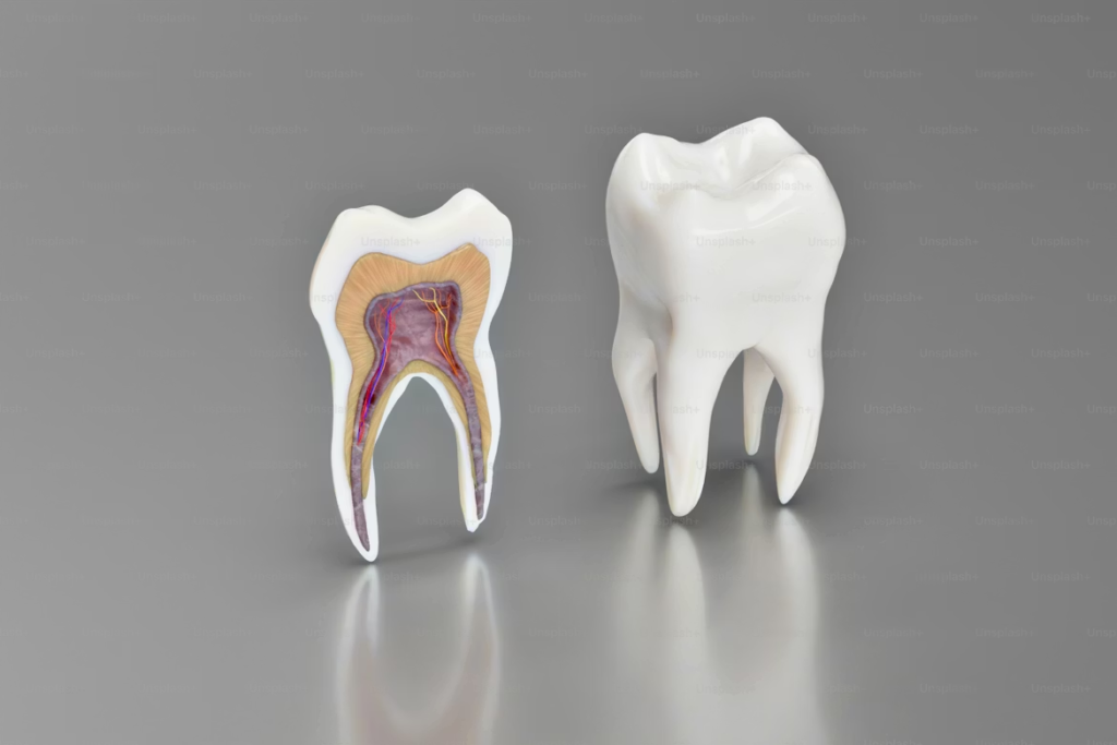 Dents de sagesse : douleur insupportable, que faire ?