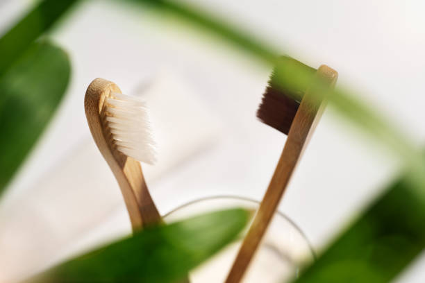 Meilleure brosse à dents écologique 2026 : notre sélection sans greenwashing